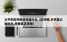 公平的区块链游戏是什么(区块链,尤其是公链技术,想要真正落地)