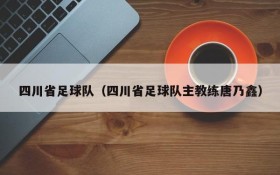 四川省足球队(四川省足球队主教练唐乃鑫)
