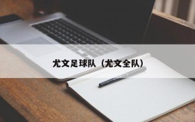 尤文足球队(尤文全队)