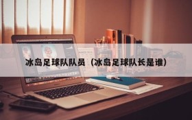 冰岛足球队队员（冰岛足球队长是谁）