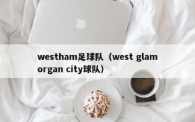 westham足球队(west glamorgan city球队)