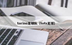 torino足球队(tots足球)