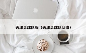 天津足球队服（天津足球队队徽）