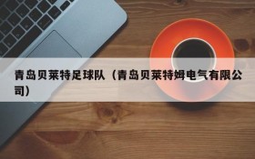 青岛贝莱特足球队（青岛贝莱特姆电气有限公司）