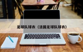 足球队球衣(法国足球队球衣)