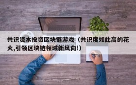 共识资本投资区块链游戏(共识度如此高的花火,引领区块链领域新风向!)