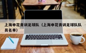 上海申花青训足球队（上海申花青训足球队队员名单）