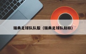 瑞典足球队队服(瑞典足球队别称)