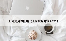 土耳其足球队吧(土耳其足球队2021)