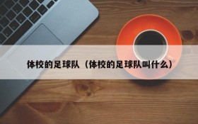 体校的足球队（体校的足球队叫什么）