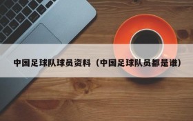 中国足球队球员资料(中国足球队员都是谁)