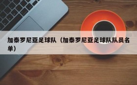 加泰罗尼亚足球队(加泰罗尼亚足球队队员名单)
