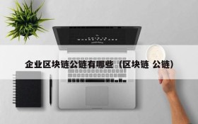 企业区块链公链有哪些（区块链 公链）