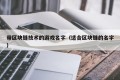 带区块链技术的游戏名字（适合区块链的名字）