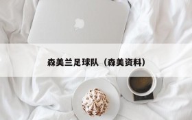 森美兰足球队(森美资料)