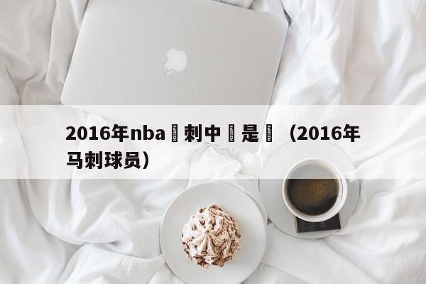 2016年nba馬刺中鋒是誰（2016年馬刺球員）