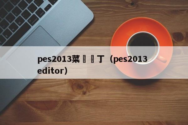 pes2013菜單補丁（pes2013 editor）