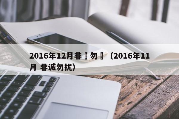 2016年12月非誠勿擾（2016年11月 非誠勿擾）