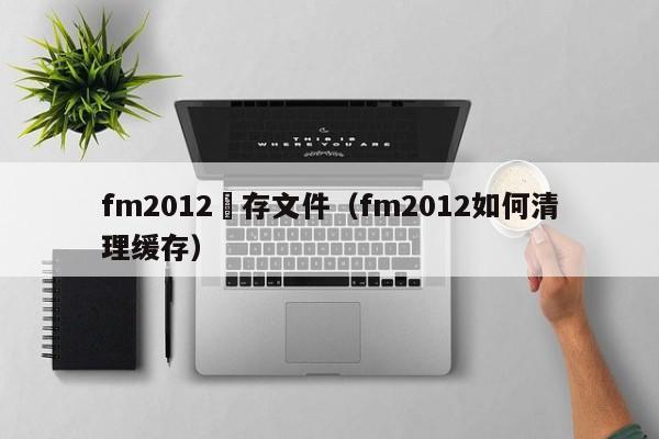 fm2012緩存文件（fm2012如何清理緩存）