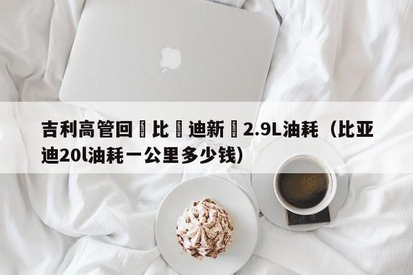 吉利高管回應比亞迪新車2.9L油耗（比亞迪20l油耗一公裏多少錢）