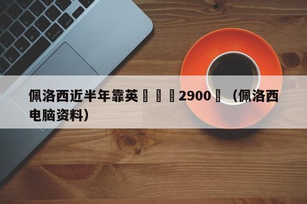 佩洛西近半年靠英偉達賺2900萬（佩洛西電腦資料）