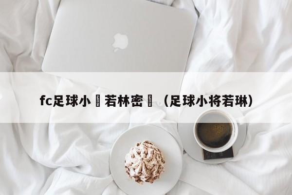 fc足球小將若林密碼（足球小將若琳）