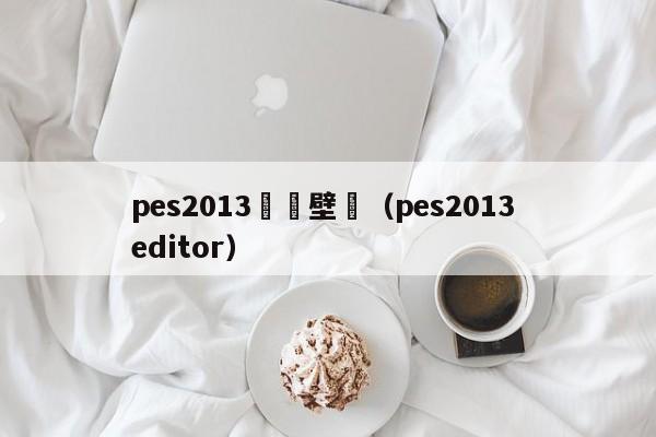 pes2013遊戲壁紙（pes2013 editor）