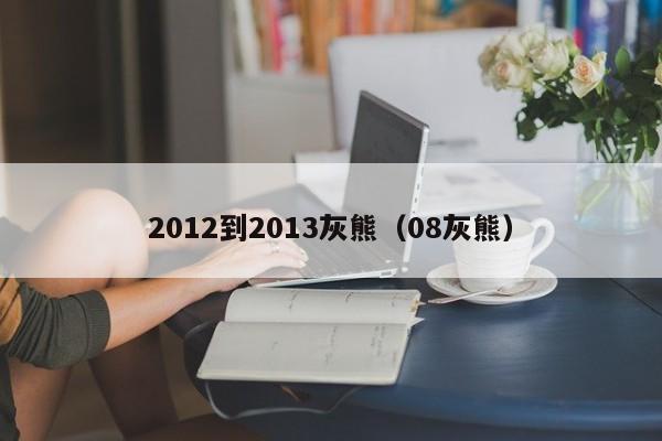 2012到2013灰熊（08灰熊）