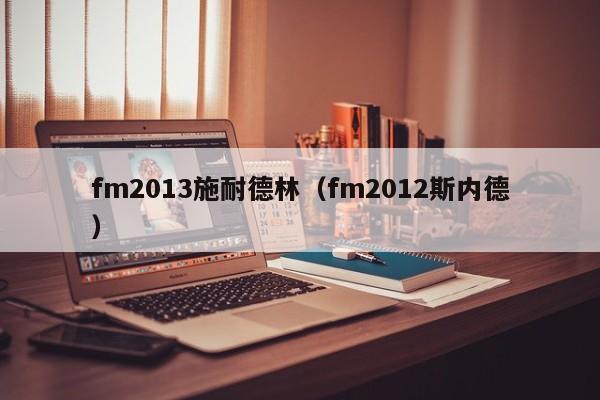 fm2013施耐德林（fm2012斯內德）