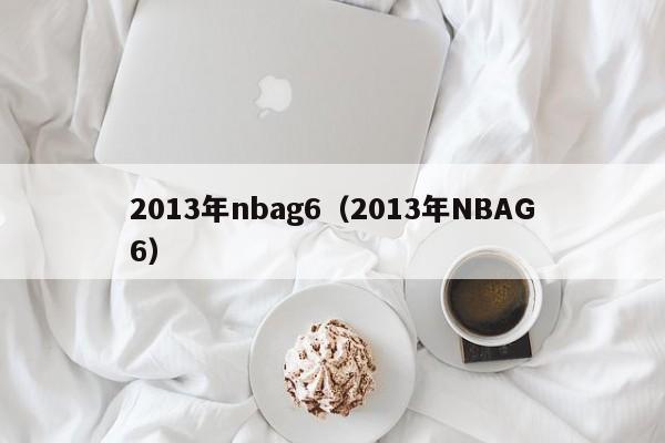 2013年nbag6（2013年NBAG6）