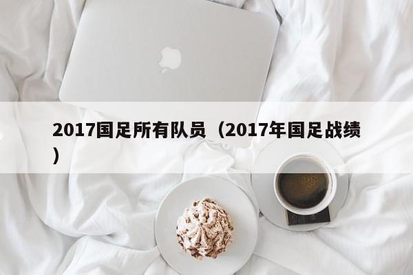 2017國足所有隊員（2017年國足戰績）