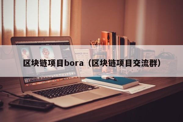 區塊鏈項目bora（區塊鏈項目交流群）