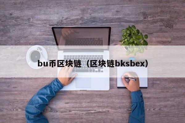 bu幣區塊鏈（區塊鏈bksbex）