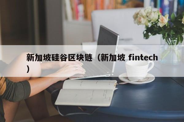 新加坡矽谷區塊鏈（新加坡 fintech）