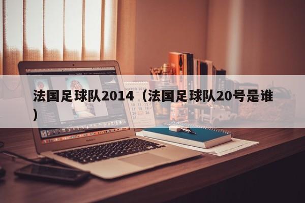 法国足球队2014（法国足球队20号是谁）