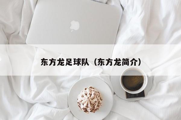 东方龙足球队（东方龙简介）