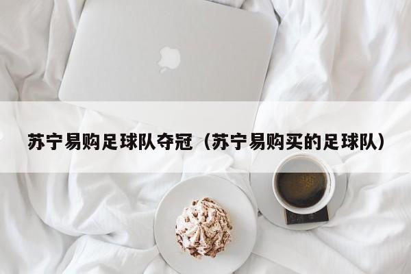 苏宁易购足球队夺冠（苏宁易购买的足球队）