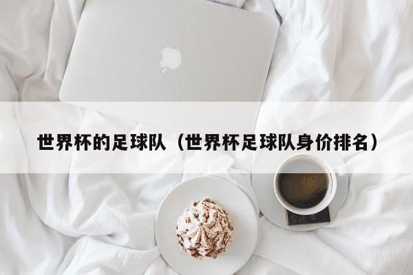 世界杯的足球队（世界杯足球队身价排名）