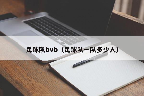 足球队bvb（足球队一队多少人）