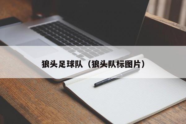 狼头足球队（狼头队标图片）