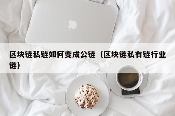 区块链私链如何变成公链（区块链私有链行业链）