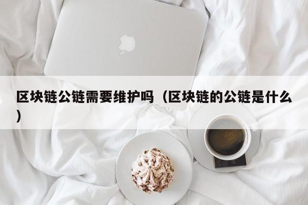 区块链公链需要维护吗（区块链的公链是什么）
