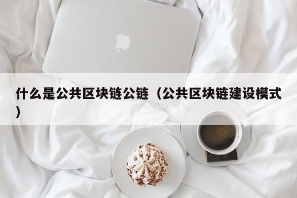 什么是公共区块链公链（公共区块链建设模式）