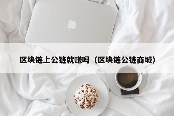 区块链上公链就赚吗（区块链公链商城）
