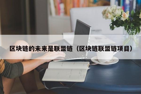 区块链的未来是联盟链（区块链联盟链项目）
