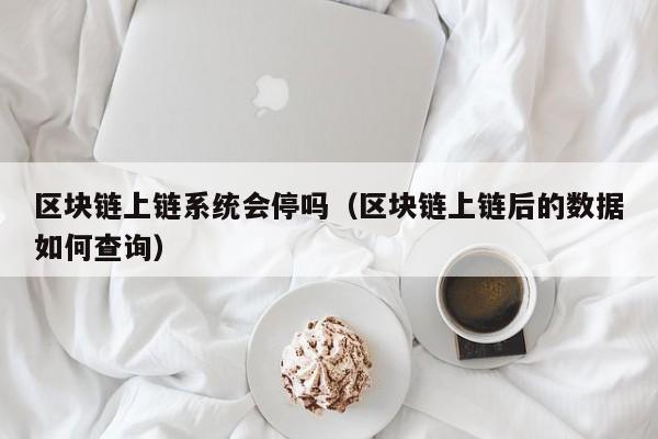 区块链上链系统会停吗（区块链上链后的数据如何查询）