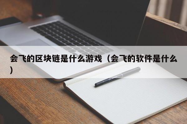 会飞的区块链是什么游戏（会飞的软件是什么）